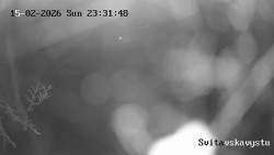 Sjezdovka Svitavská