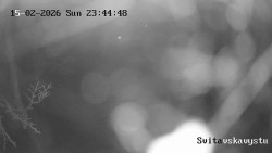 Sjezdovka Svitavská