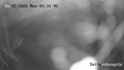 Sjezdovka Svitavská