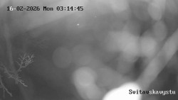 Sjezdovka Svitavská