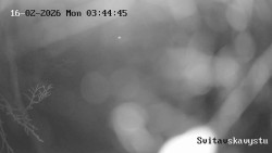 Sjezdovka Svitavská