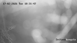 Sjezdovka Svitavská