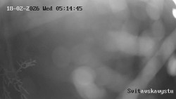 Sjezdovka Svitavská