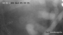 Sjezdovka Svitavská