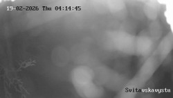 Sjezdovka Svitavská