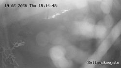 Sjezdovka Svitavská