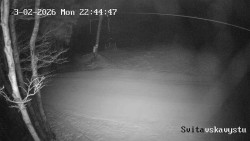 Sjezdovka Svitavská