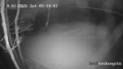 Sjezdovka Svitavská