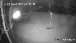 Sjezdovka Svitavská