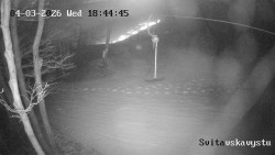 Sjezdovka Svitavská