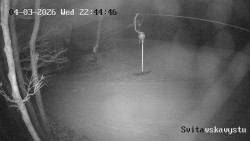 Sjezdovka Svitavská