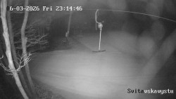 Sjezdovka Svitavská