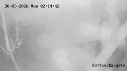 Sjezdovka Svitavská