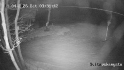 Sjezdovka Svitavská