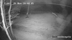 Sjezdovka Svitavská