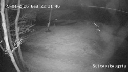 Sjezdovka Svitavská