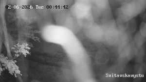 Horský Resort Buková Hora - Čenkovice - Sjezdovka Svitavská - 2.6.2026 v 01:45