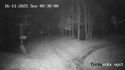 Sjezdovka Třebovská