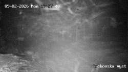 Sjezdovka Třebovská