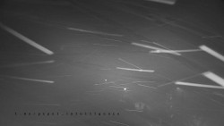 Informační centrum Zvonice