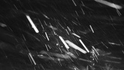 Informační centrum Zvonice