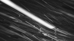 Informační centrum Zvonice