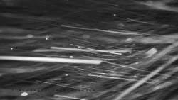 Informační centrum Zvonice