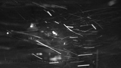 Informační centrum Zvonice