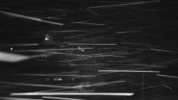 Informační centrum Zvonice