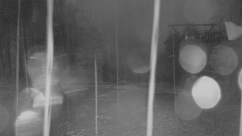 Snímek    10.5.2025 v 21:01
