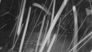 Skiareál - Skipark Filipovice - Horní stanice Lanové dráhy - 11.9.2025 v 00:45