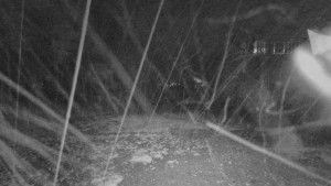 Skiareál - Skipark Filipovice - Horní stanice Lanové dráhy - 11.9.2025 v 01:45