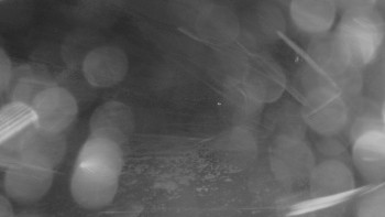 Snímek    14.10.2025 v 18:45