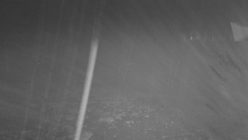 Snímek    15.10.2025 v 05:45