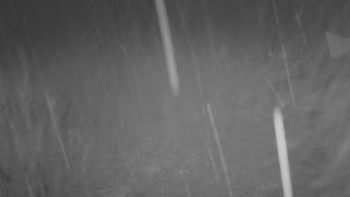 Snímek    15.10.2025 v 06:01