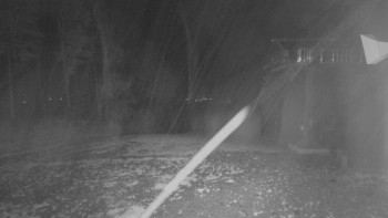 Snímek    17.10.2025 v 05:31