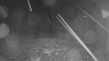 Snímek    19.10.2025 v 03:45