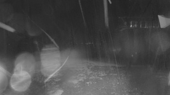 Snímek    3.11.2025 v 03:15