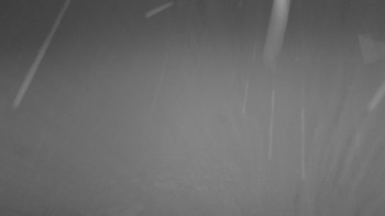 Snímek    9.11.2025 v 17:15