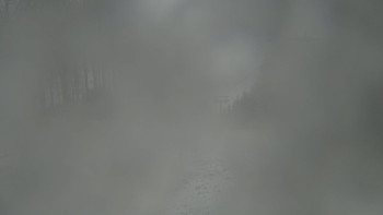 Snímek 17.11.2025 v 14:45