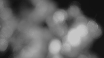 Snímek 17.11.2025 v 18:15