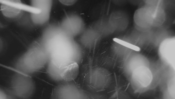 Snímek 17.11.2025 v 21:31