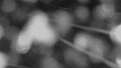 Horní stanice Lanové dráhy