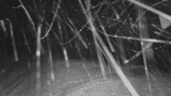 Horní stanice Lanové dráhy