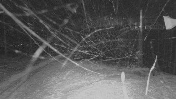 Snímek 19.11.2025 v 19:15