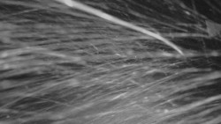 Horní stanice Lanové dráhy