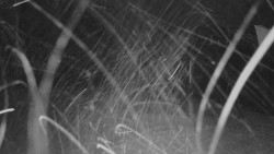 Horní stanice Lanové dráhy