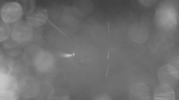 Skiareál - Skipark Filipovice