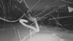 Horní stanice Lanové dráhy