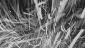 Skiareál - Skipark Filipovice